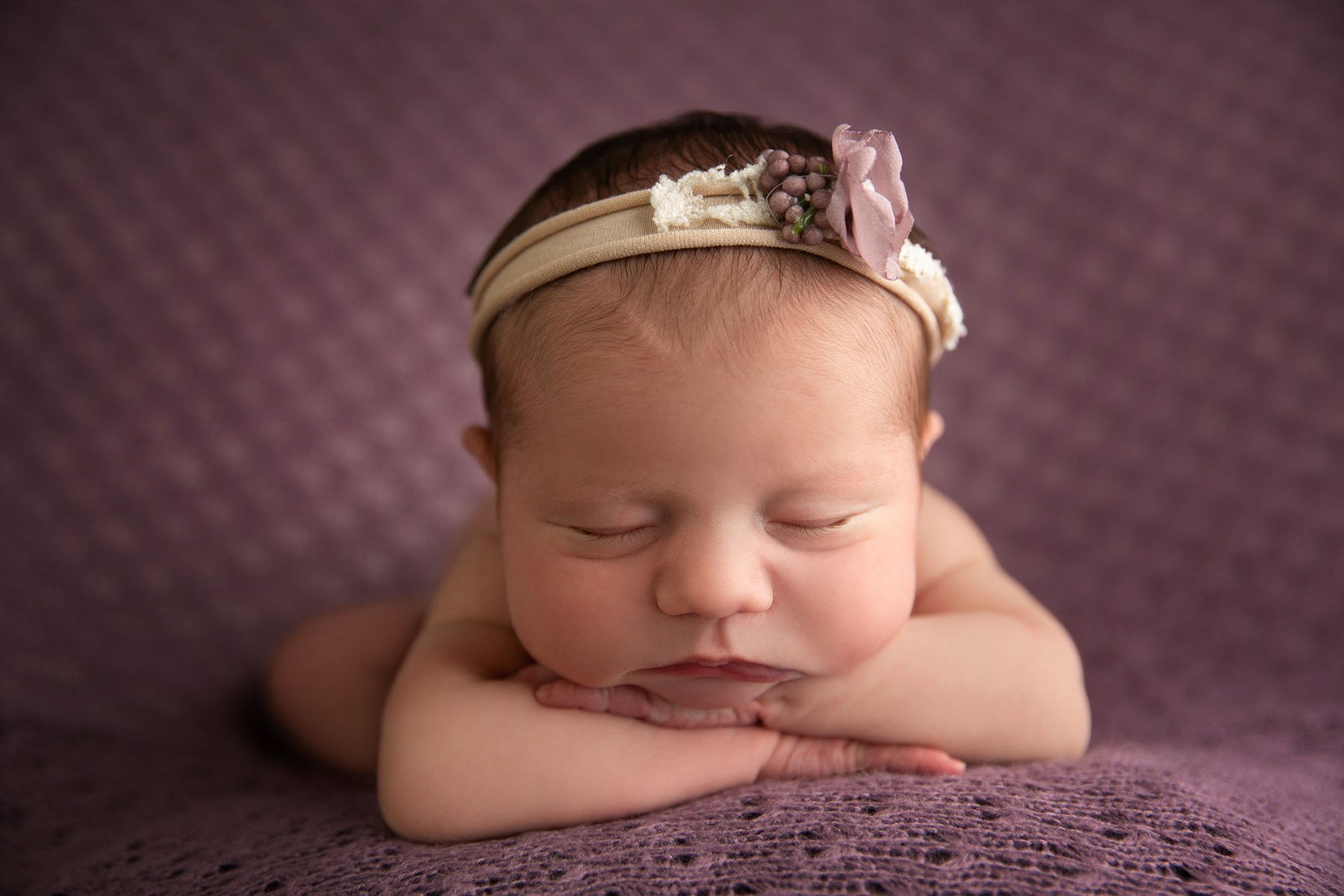 Sleeping newborn baby resting on hands during purple studio newborn portrait session