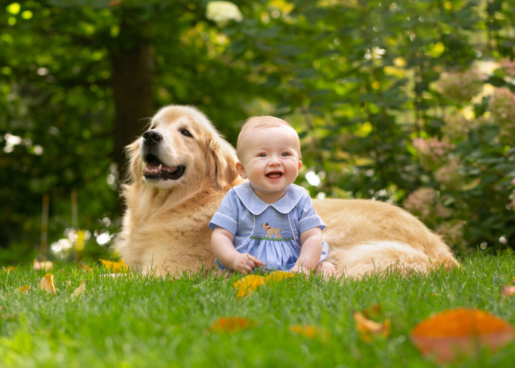 Smiling baby sitting beside golden retriever during outdoor milestone session
