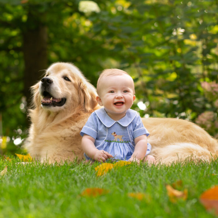 Smiling baby sitting beside golden retriever during outdoor milestone session