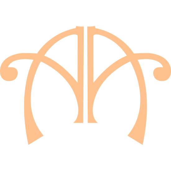 Logo of Alternate Angles Photography