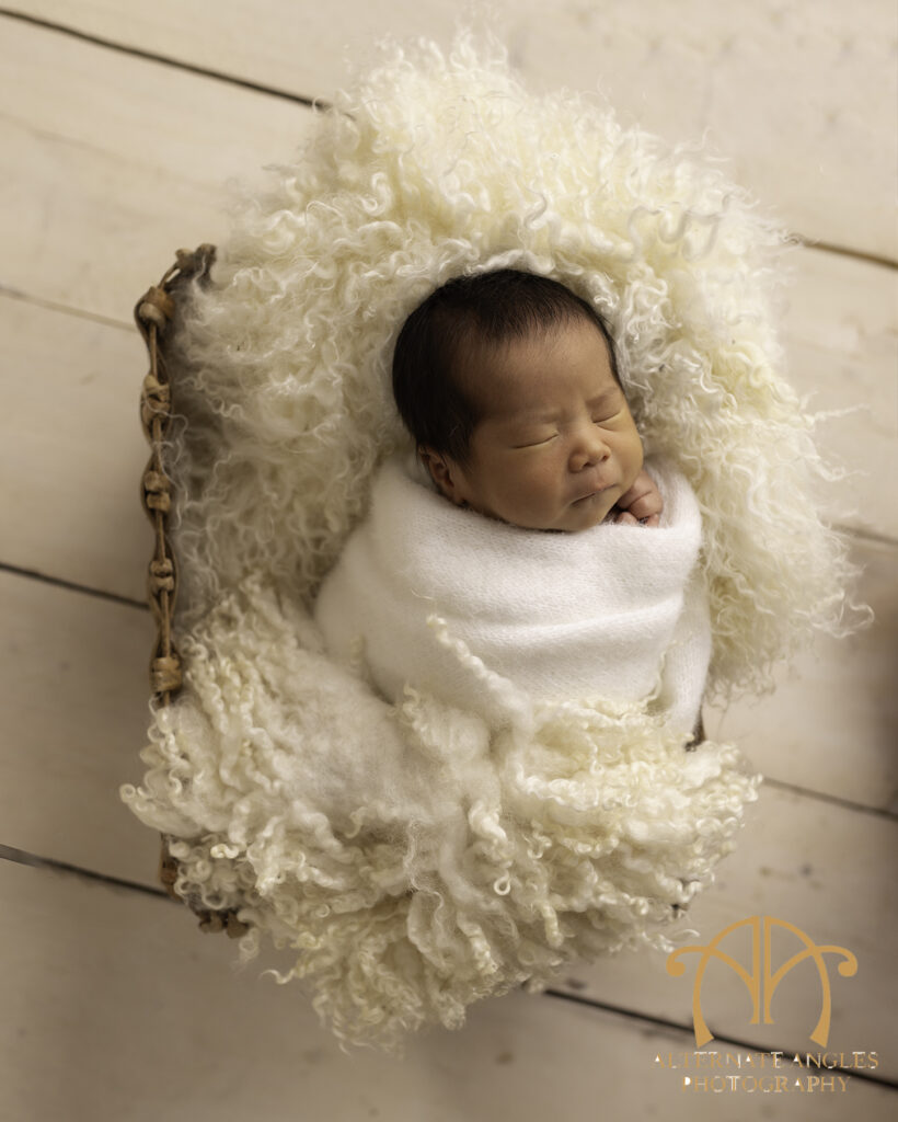 Japanese newborn baby sleeping in basket during Boston newborn photography session