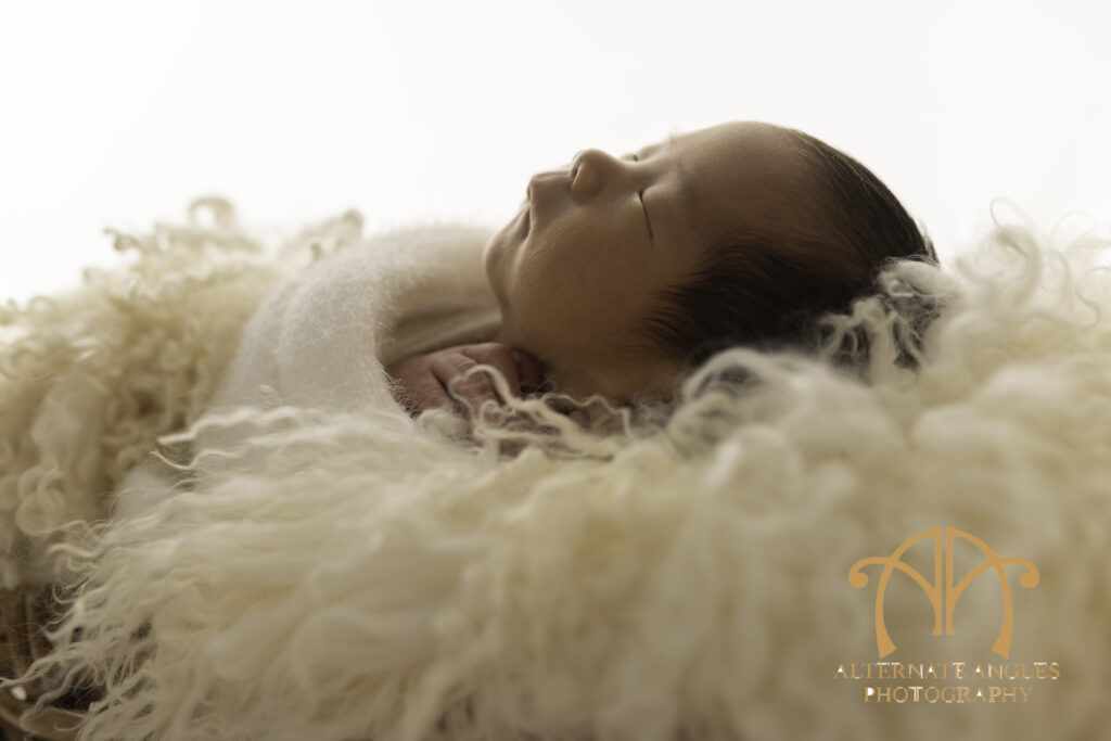Japanese newborn baby sleeping in basket during Boston newborn photography session